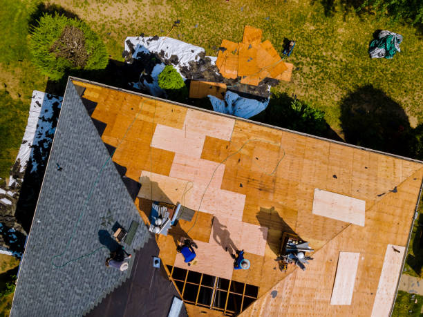 Best Gutter Installation and Roofing  in Carrington, ND
