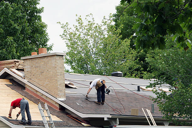 Best Roof Maintenance Services  in Carrington, ND