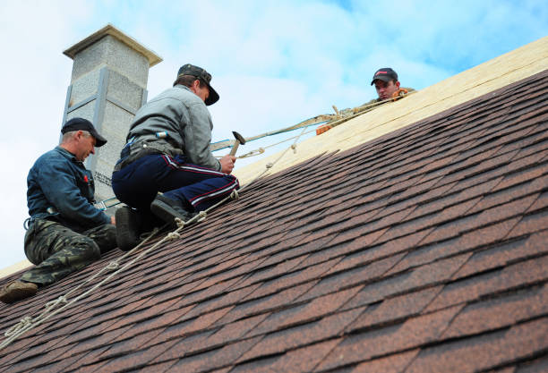 Best Flat Roof Repair Services  in Carrington, ND